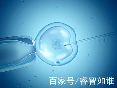 胚胎实验室主任